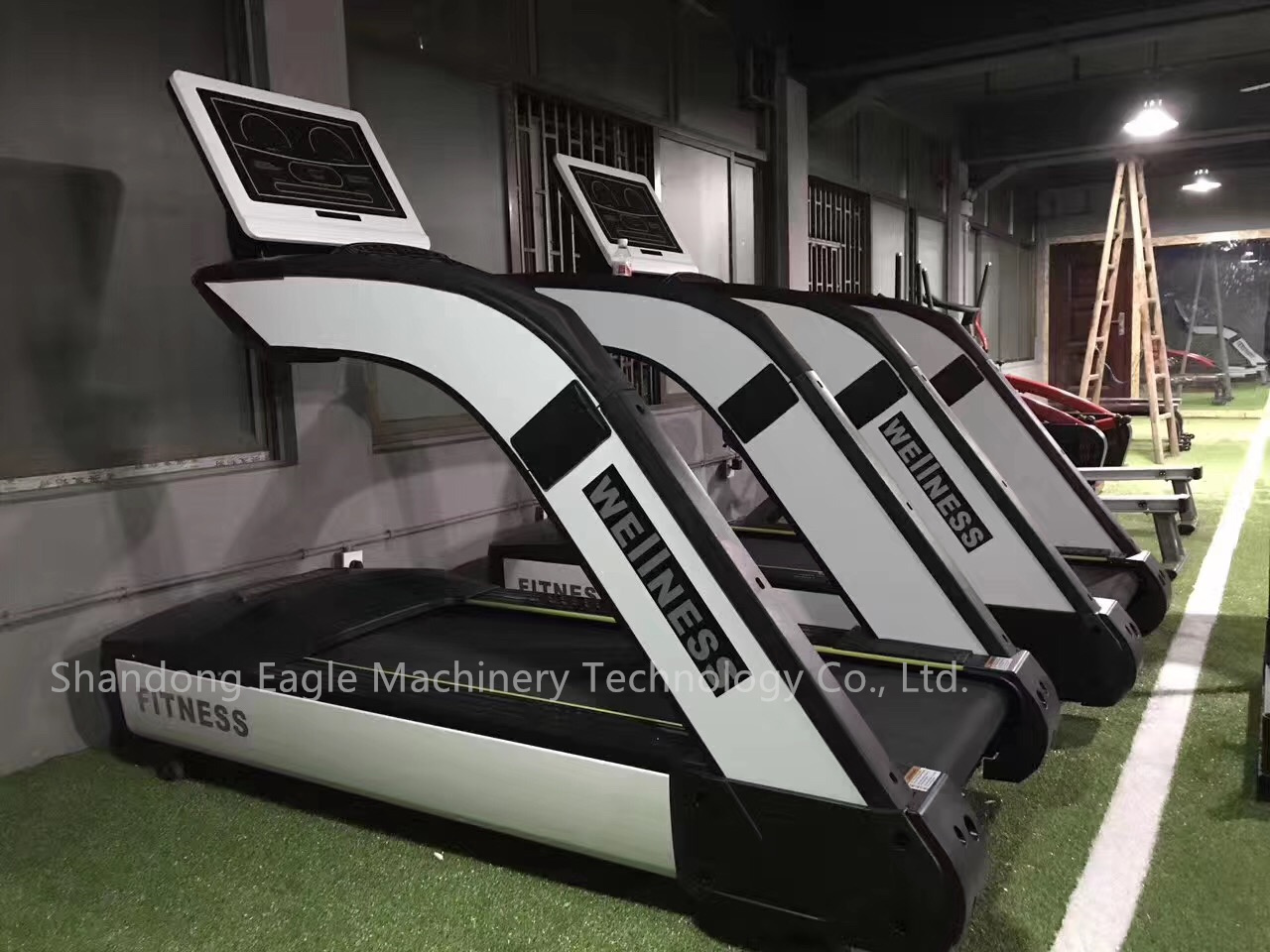 Professional Running Treadmill - Running Gear Equipment review and price